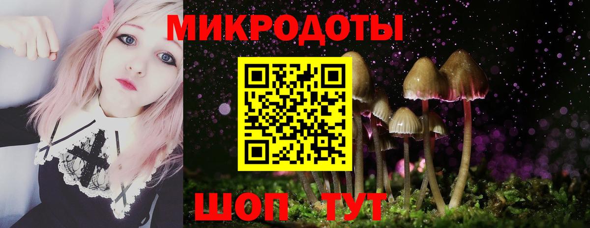Ишимбай  Псилоцибиновые грибы Psilocybe  хочу   Вход с VPN  Галлюциногенные грибы Psilocybine cubensis 